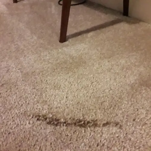 Carpet Burn Repair Geelong