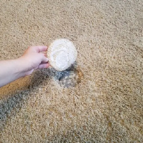 Carpet Hole Repair Geelong